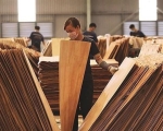 Artisan communities strive for legal wood