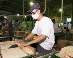 Vietnam exports recovering, but bottlenecks remain