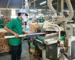 Vietnamese furniture makers hit by dwindling timber supplies