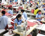 VN must improve quality of labour force for EVFTA