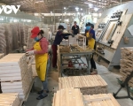 Russia-Ukraine conflict adversely impacts Vietnamese wood industry