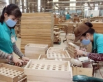 Vietnamese wood exports to U.S. surge.