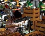Manufacturing sector struggles on weak demand in February
