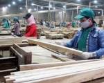 VN wood firms eye int’l market