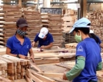Vietnam Targets $10-Billion Wood Exports By 2020