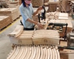 Making Vietnam a Leading Centre of Wood Production and Export