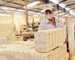 The wooden industry is confident with a target of US$ 9 billion